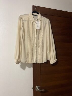 Zara Sheer Long-Sleeve Top, Romantic Pleated Front, NWT